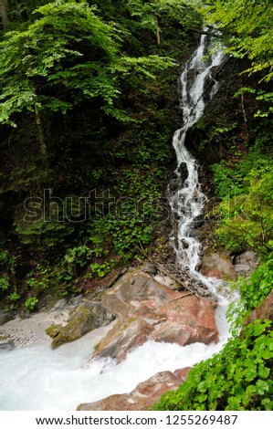 Fast water stream in mountain river in the forest. Large and small stones along the banks. A thin stream descends from the mountains and flows into the river. Summer day.
