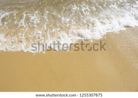 Wave of the sea on the sand beach
