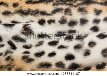 Natural animal fur background texture.  Wool spotted pattern close-up