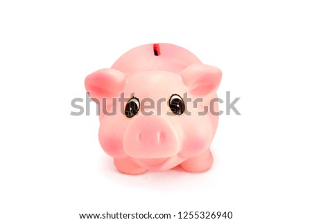                                Piggy bank isolated on white