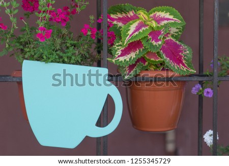 street design with silhouettes of wine glasses and flower pots on a dark background