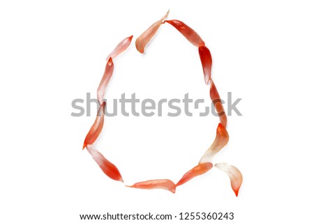 The Letter "Q". The concept of the alphabet made of orange fruit pulp. Isolated on white background. In high resolution.