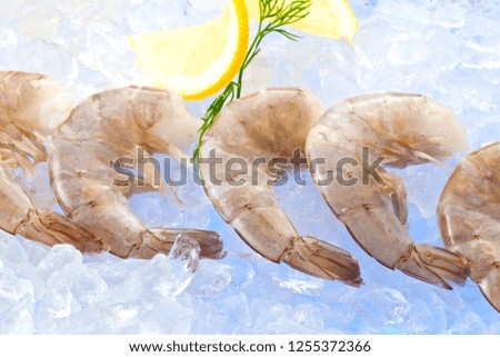 Closeup photo of large size of frozen raw shrimp with tail removed