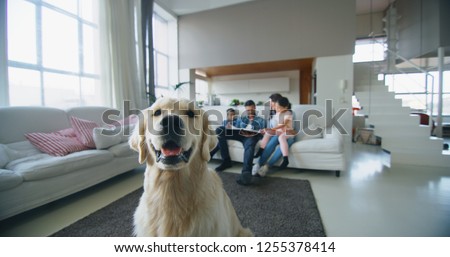 Portrait of happy dog on a background of happy family using laptop in living room.  Concept of love for animals, pedigree pet, happy family