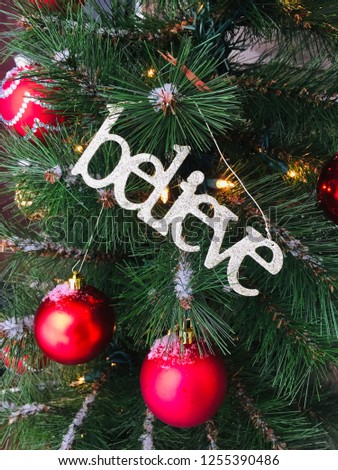 Christmas Tree and the Word Believe