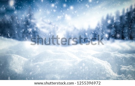 Winter background of snow and frost with free space for your decoration 