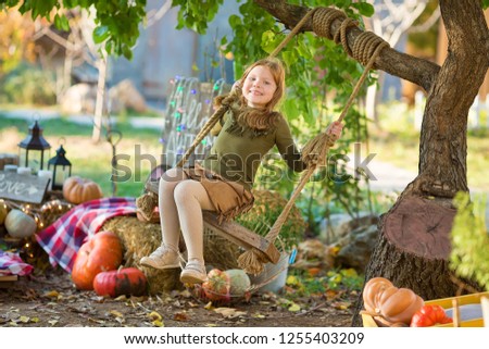 Funny girl child kid in halloween orange costume playing outdoor with spooky jack pumpkins with scary faces sitting on swing west highland white terrier dog in black Dracula cloak ready for Halloween.