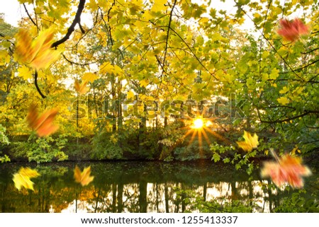 Autumn landscape with pond in the sunny day