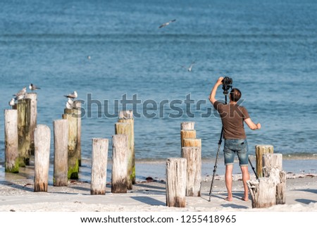 Old Naples, Florida pier pilings in gulf of Mexico with wooden pillars, birds on ocean beach, man photographing with tripod and camera photographing, taking picture, photo