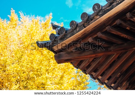 Nezu shrine traditional roof and autumn ginkgo tree in Tokyo, Japan