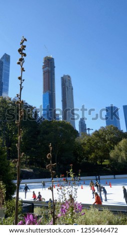 Vertical long shot of ice rink in central park with flowers and manhattan skyline