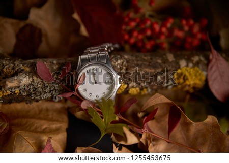 Clock on a trunk and dry leaves in the absence of a minute to start the new year 2019
