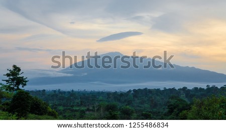 Scenic view of Mount Cameroon mountain with green forest during sunset, highest mountain in West Africa, Cameroon, Africa. Royalty-Free Stock Photo #1255486834