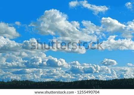 Clouds in the blue sky over the forest. Background of heavenly pure nature. 