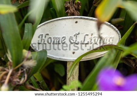 Garden sign hiding between plants and flowers. it says Home and living as quote.