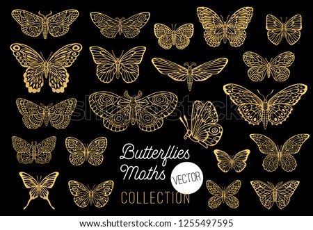 Butterflies drawing vector set, isolated, sketch style collection insert wings emblem symbols, golden, gold, black background. Hand drawn vector illustration.