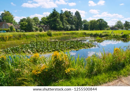 Summer sunshine on the picturesque village green and ponds at Frampton on Severn, Gloucestershire, UK. At about 22 acres in size it is said to be the longest village green in England.