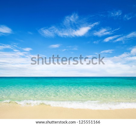 beach and tropical sea Royalty-Free Stock Photo #125551166