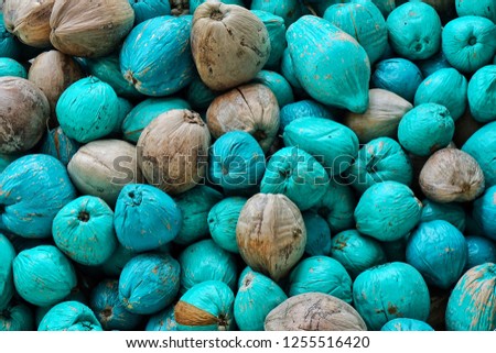 a lot of brown and turquoise coconuts Royalty-Free Stock Photo #1255516420