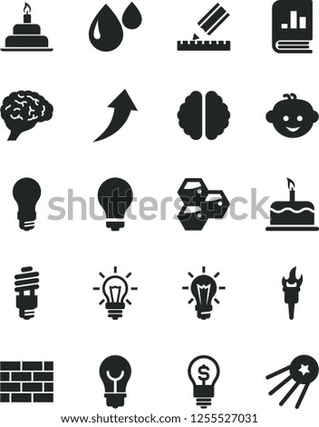 Solid Black Vector Icon Set - matte light bulb vector, children's hairdo, birthday cake, brickwork, drawing, honeycombs, drop, energy saving, book on statistics, brain, flame torch, arrow up, idea