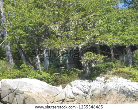 A cabin structure on Bramham Island in a remote part of the Pacific Coast. The shoreline is rocky and the old growth coniferous trees are holding on to the thin layer of earth in the brutal winds.