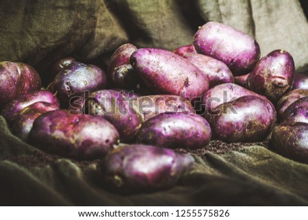 Several pure pink potatoes lined with soft gray fabric
