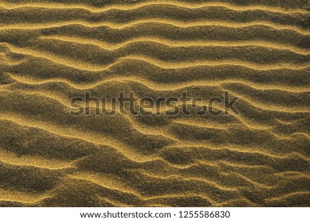 coast and sand shapes