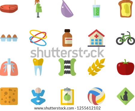 Color flat icon set tomato flat vector, chop, cheese, egg, garlic, soda, sandwich, vial, hospital, gestation, dental crowns, lungs, ear, volleyball, diet, bicycle, carpal expander, yoga, hoop