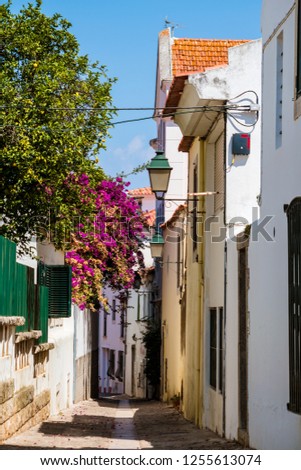 Narrow, cozy and beautiful streets of Cascais, district of Lisbon, Portugal during sunny day
