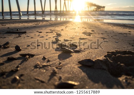 Close up of rocks and shells along the  pacific ocean waterline in Hermosa Beach, CA at sunset
