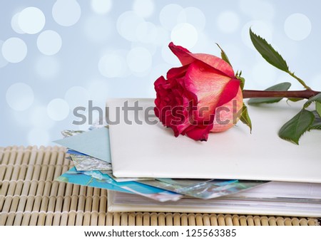 Album with photography and pink rose