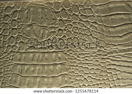 leather texture with relief surface                              