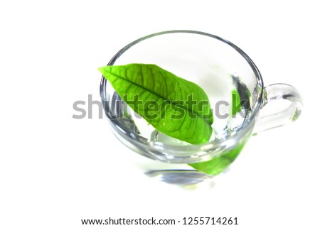 glass cup with water and a leaf of lemongrass. White background. concept of clean water and food.
