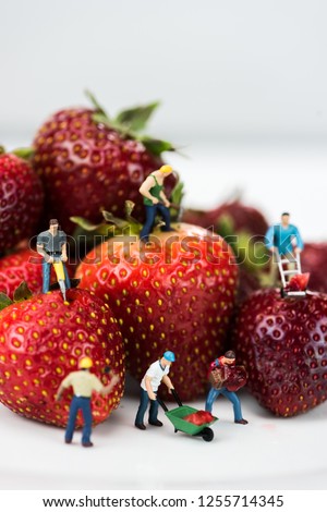 Miniature Figures Doing Construction Work on Strawberries