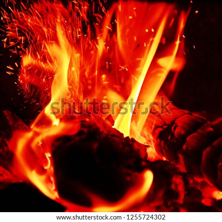 Burning firewood in the fireplace close up texture background