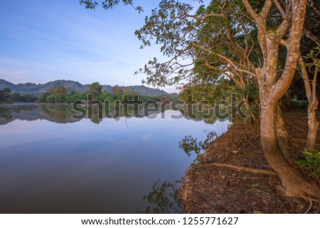 The background of the trees near the lake, bright blue sky wallpaper with morning light, is beautifully natural.
