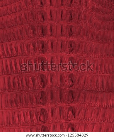 Crocodile bone skin texture background, Color Poppy Red.