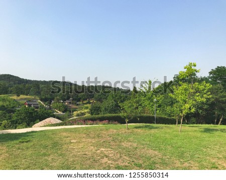 Panorama. Summer green landscape in South Korea