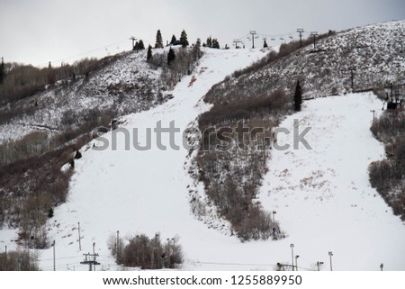 Snow and trees on mountain, Park City, Utah