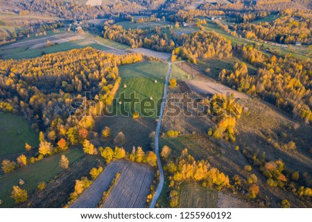 Aerial picture of a countryside village road. Drone shot of agricultural fields, forest. Transylvania, Romania