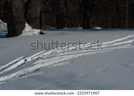 footprints in the snow from the skis in the forest