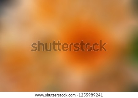 Soft blurred creative natural background for color wallpapers of sites and editing photos