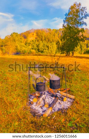 Bonfire in the autumn forest.
