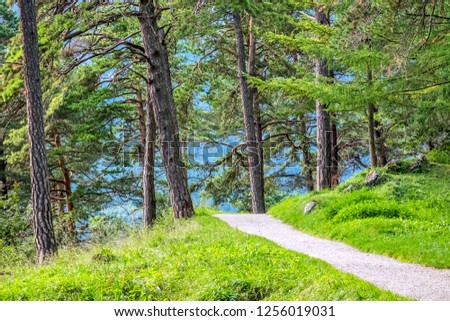 Landscape picture with path and trees Garmisch-Partenkirchen in autumn