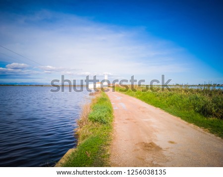 The gorgeous landscape of the natural park La Albufera in Valencia, Spain, Europe. The photo features the fresh water of the lagoon reflecting the sky. It was taken close to the El Palmar town. 