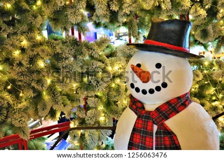 Snow man on  Christmas  Day