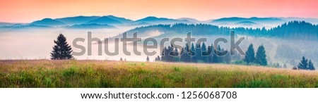 Foggy morning panorama of mountains valley. Picturesque summer sunrise in Carpathian mountains, Rika village location, Transcarpathian, Ukraine, Europe. Beauty of nature concept background.