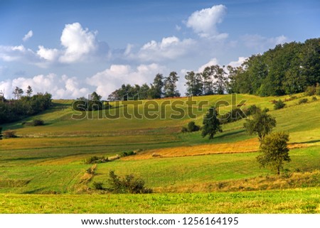 Stunning mountain scenery with green pastures
