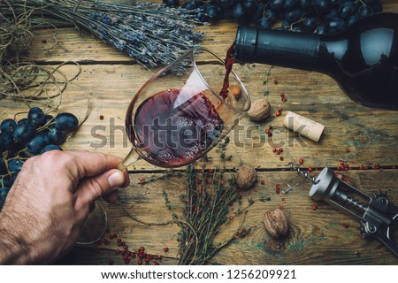 Wine maker pouring red wine (bio) for tasting. Red wine tasting in a wine glass with grapes, nuts and herbs on the background of the old wooden table. Table setting. Royalty-Free Stock Photo #1256209921