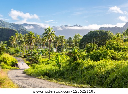 Volcanic hills, mountains, valleys, volcano mouth of beautiful green lush Ovalau island overgrown with palms, lost in jungle, covered with clouds, home of Levuka town. Fiji, Melanesia, Oceania.  Royalty-Free Stock Photo #1256221183